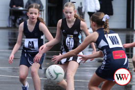 13&u-netball-3.jpg