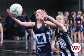 13&u-netball-4.jpg