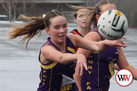 15&u-netball-3.jpg