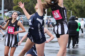 17&u-netball-4.jpg