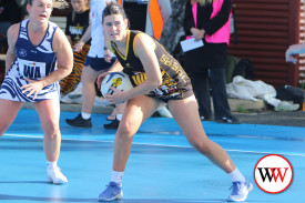 a-grade-netball-merrivale-3.jpg