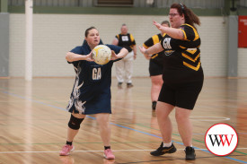 all-abilities-netball-10.jpg