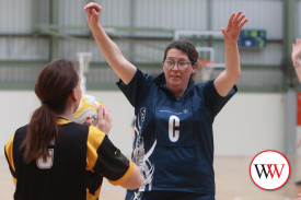 all-abilities-netball-14.jpg