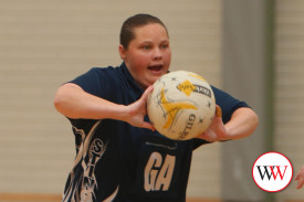 all-abilities-netball-2.jpg