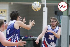 all-abilities-netball-26.jpg