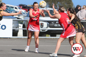 b-grade-netball-dennington-2.jpg