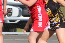 b-grade-netball-dennington-3.jpg