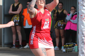 b-grade-netball-dennington-8.jpg