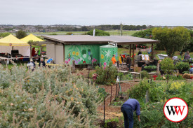 community-garden-1.jpg