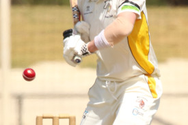cricket—-dennington-v-merrivale-9.jpg