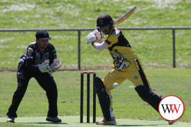cricket—-merrivale-v-west-warrnambool-2.jpg