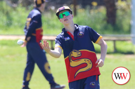 cricket—-north-warrnambool-v-warrnambool-5.jpg