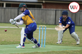 cricket-womens—-cobden-v-warrnambool-11.jpg