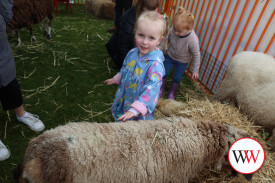 Ellidy Burchell of Illowa had fun spending time in the animal nursery.