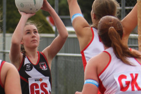 div-2-netball-1.jpg