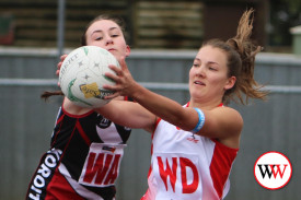 div-2-netball-10.jpg