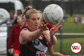 div-2-netball-2.jpg