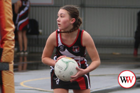 div-2-netball-4.jpg