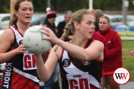 div-2-netball-9.jpg