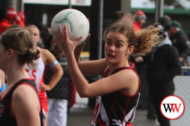 div-3-netball.jpg