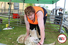 Daniel Coleman was happy to show his blade shearing skills to audiences.