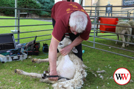 Terry Rowbottom in action with the blade.