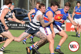footy—-allansford-v-panmure-2.jpg