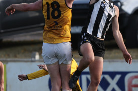 footy—-camperdown-v-portland-4.jpg