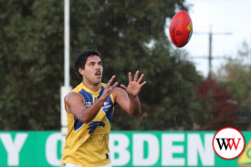 footy—-cobden-v-north-warrnambool-3.jpg