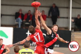 footy—-cobden-v-south-warrambool-9.jpg