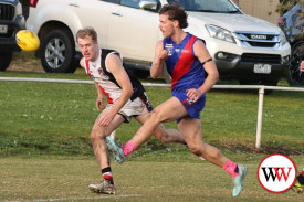 footy—-koroit-v-terang-mortlake-13.jpg