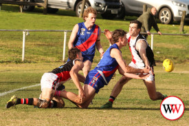 footy—-koroit-v-terang-mortlake-14.jpg