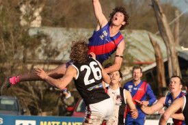 footy—-koroit-v-terang-mortlake-19.jpg