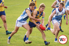 footy—-north-warrnambool-v-hamilton-8.jpg