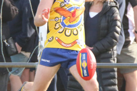 footy—-north-warrnambool-v-koroit-16.jpg