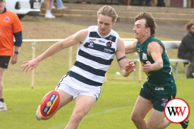 footy—-old-collegians-v-allansford-9.jpg