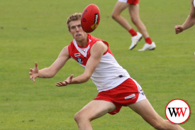 footy—-south-warrnambool-v-camperdown-3.jpg