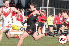 footy—-south-warrnambool-v-cobden-10.jpg