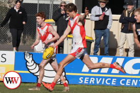 footy—-south-warrnambool-v-cobden-2.jpg