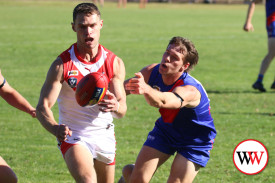 footy—-terang-mortlake-v-south-warrnambool-4.jpg
