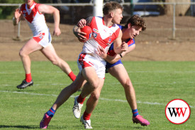 footy—-terang-mortlake-v-south-warrnambool-9.jpg