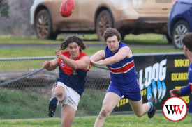 footy—-timboon-v-panmure-17.jpg