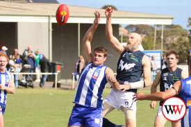 footy—-warrambool-v-hamilton-2.jpg