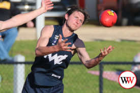 footy—-warrnambool-v-portland-9.jpg