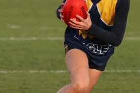 footy-232-1721265392.jpg