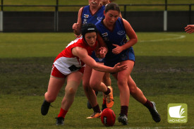 footy-239-1721265424.jpg