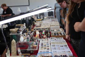 Last weekend’s display brought crowds to the Wannon Rooms, with people eager to have a close look at the gems.