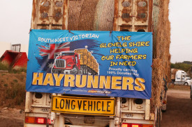 hay-run-4.jpg