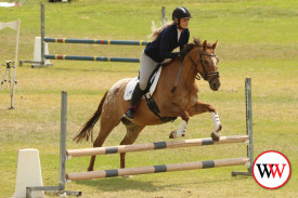 horse-jumping-11.jpg