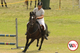 horse-jumping-15.jpg